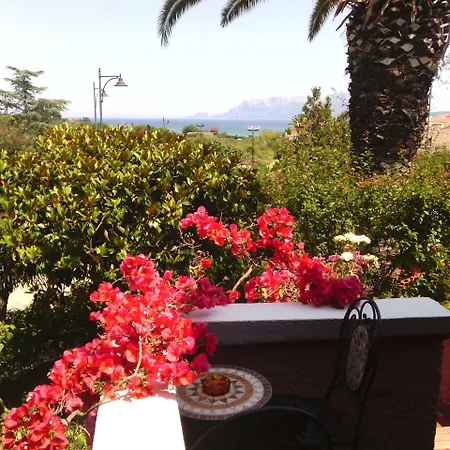 Abbaruja 3* אולביה