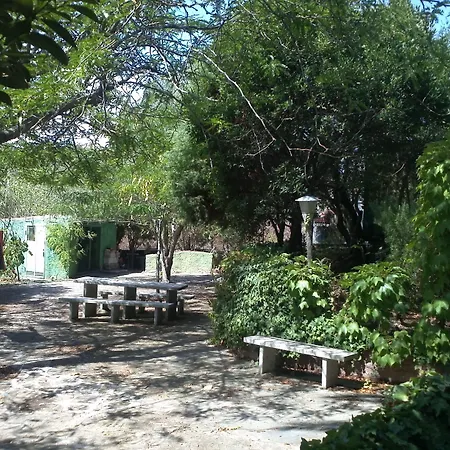 Abbaruja