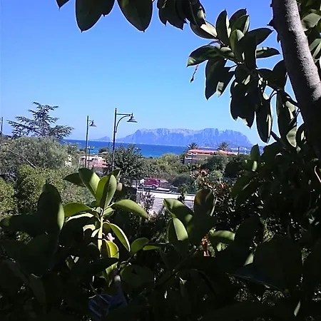 Abbaruja
