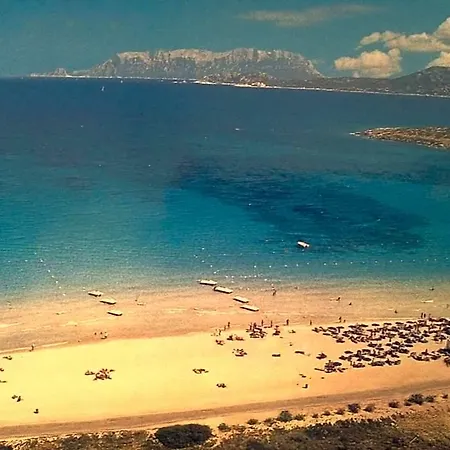 Abbaruja Otel Olbia