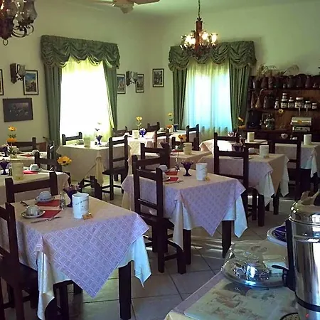 Abbaruja