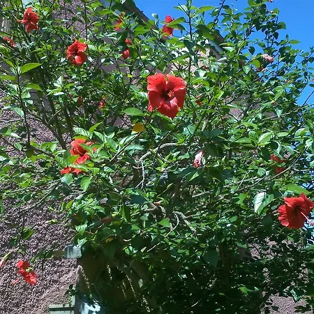 Abbaruja فندق